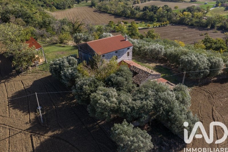 Сельскохозяйственный участок в Корридония