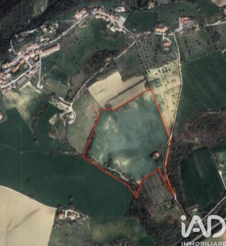 Сельскохозяйственный участок в Корридония