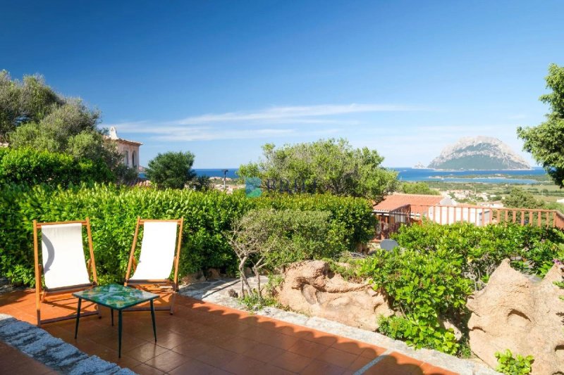 Villa i Loiri Porto San Paolo