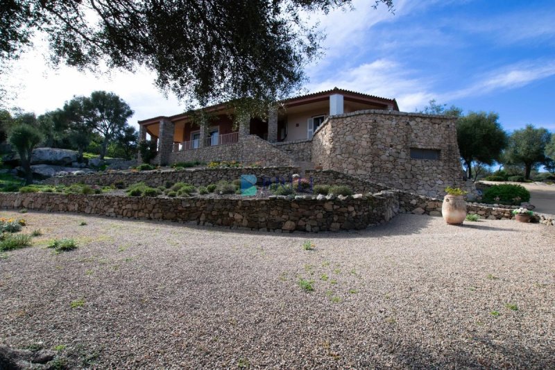 Villa in Arzachena