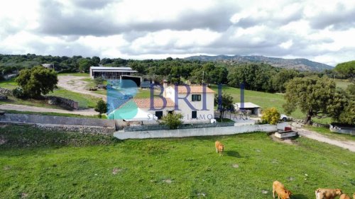 Exploitation agricole à Calangianus