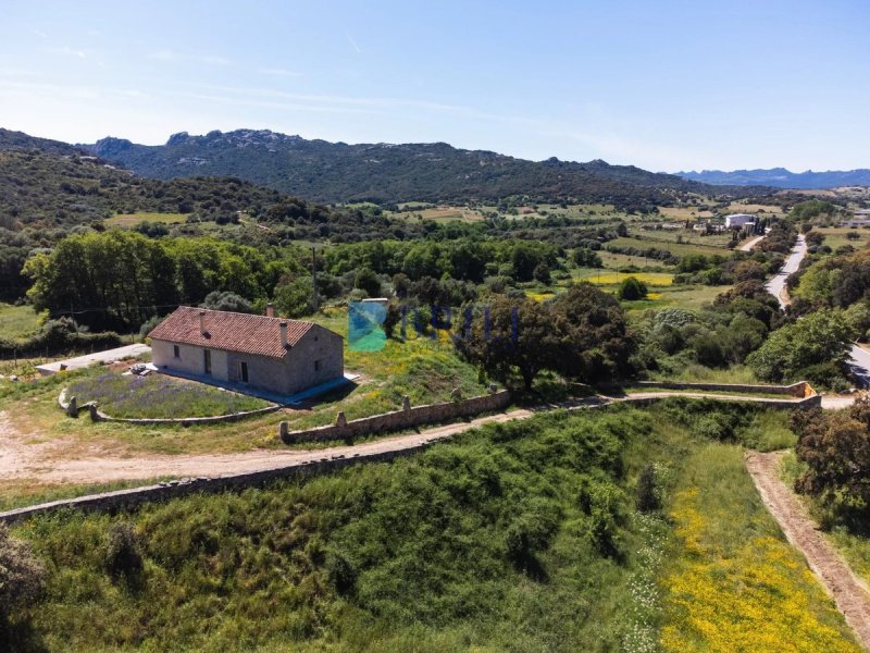 Exploitation agricole à Sant'Antonio di Gallura