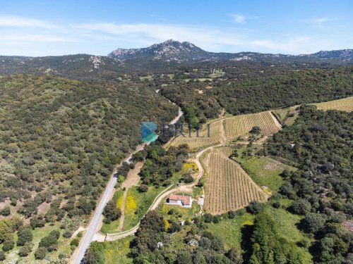 Exploitation agricole à Sant'Antonio di Gallura