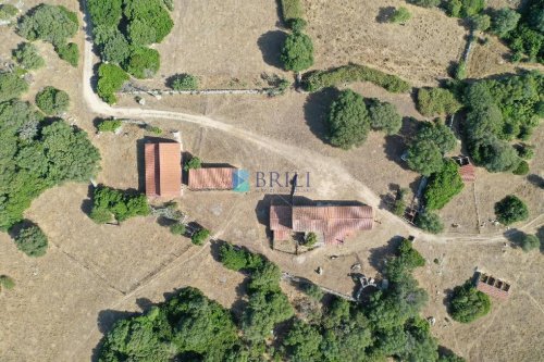 Exploitation agricole à Luogosanto