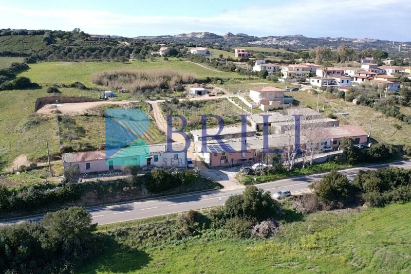 Building plot in Luogosanto