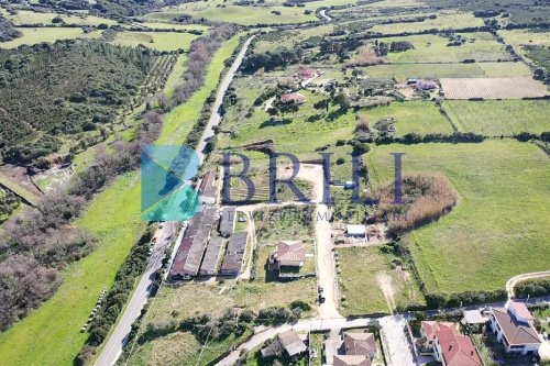 Building plot in Luogosanto