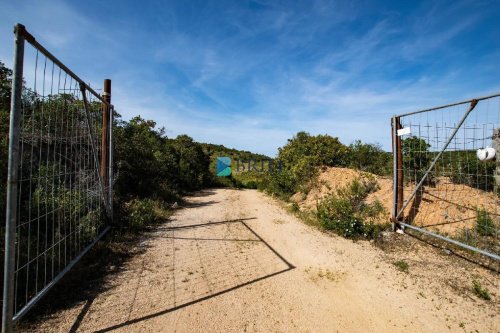 Terrain agricole à Arzachena