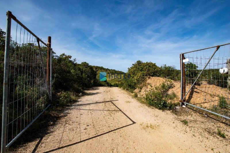 Terrain agricole à Arzachena