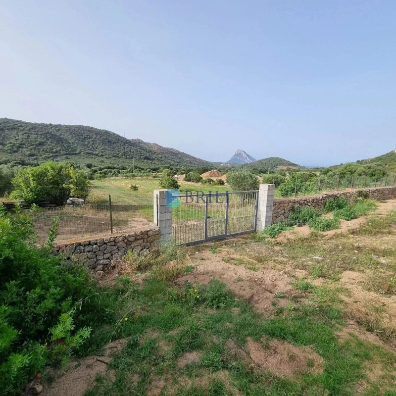 Byggtomt i Loiri Porto San Paolo