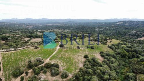 Terreno agrícola em Telti