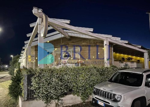 奧爾比亞商业房产