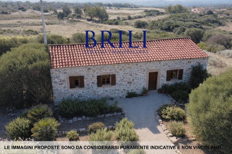 Сельскохозяйственный участок в Альенту