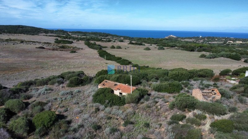 阿连图农用土地