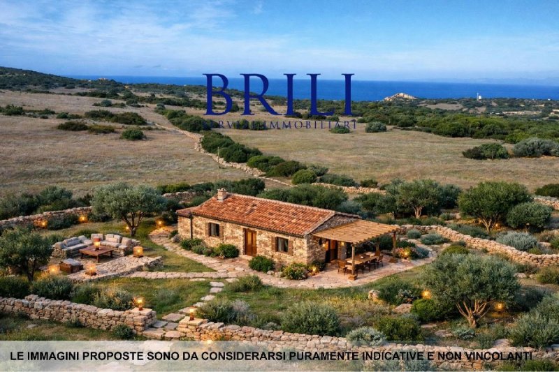 Сельскохозяйственный участок в Альенту