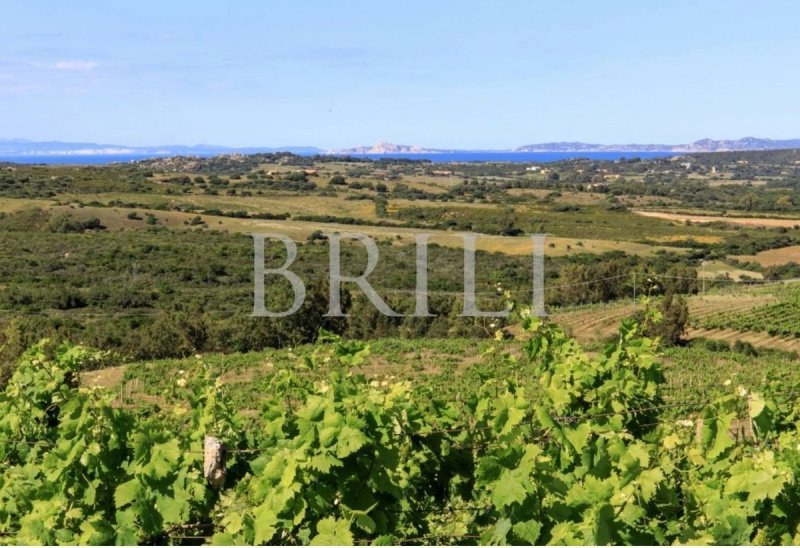 Moradia em Trinità d'Agultu e Vignola