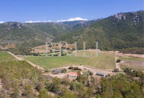 Moradia em Trinità d'Agultu e Vignola