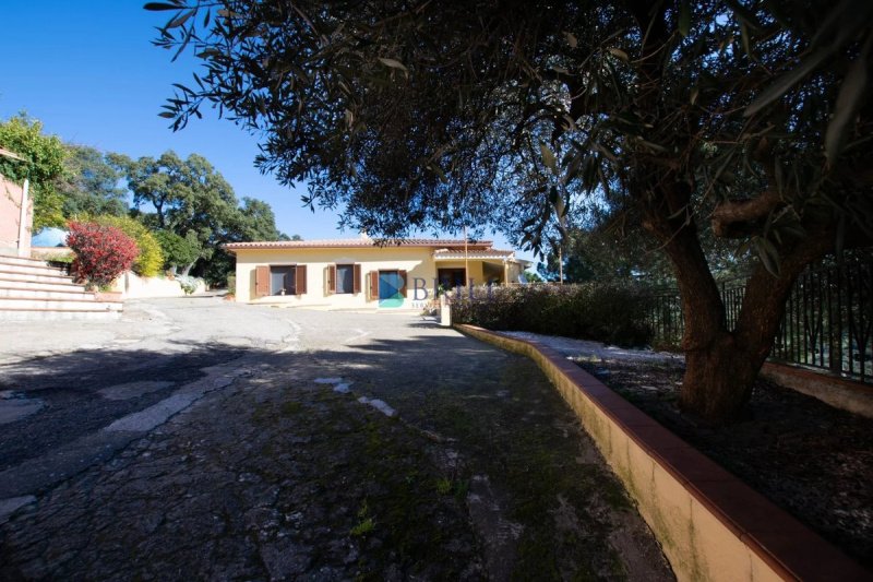 Villa a Luras