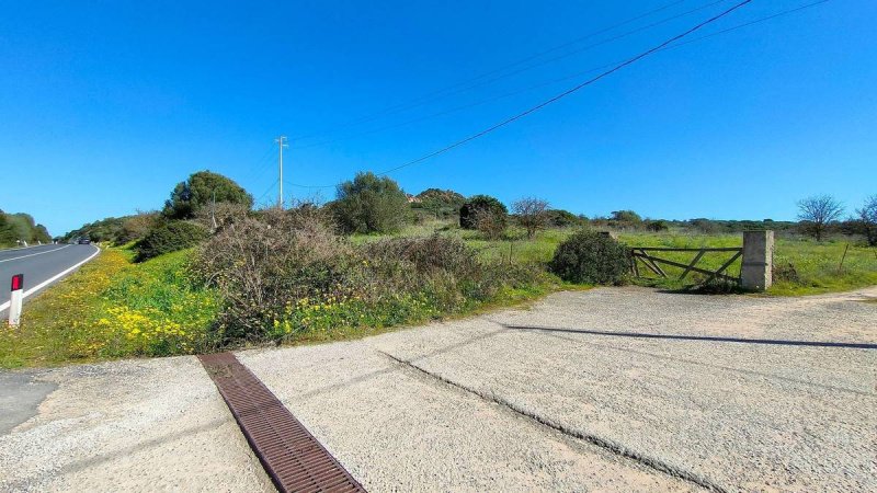 Terreno agrícola em Alghero
