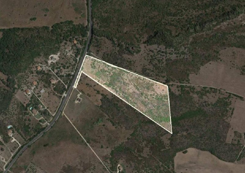 Terreno agrícola em Alghero