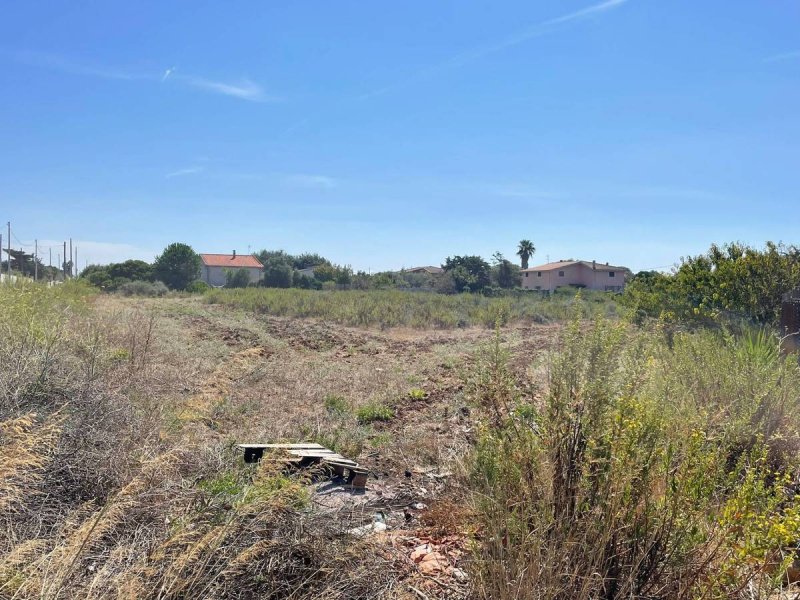 Terreno edificable en Sácer