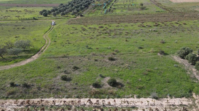 Terreno agrícola em Selargius
