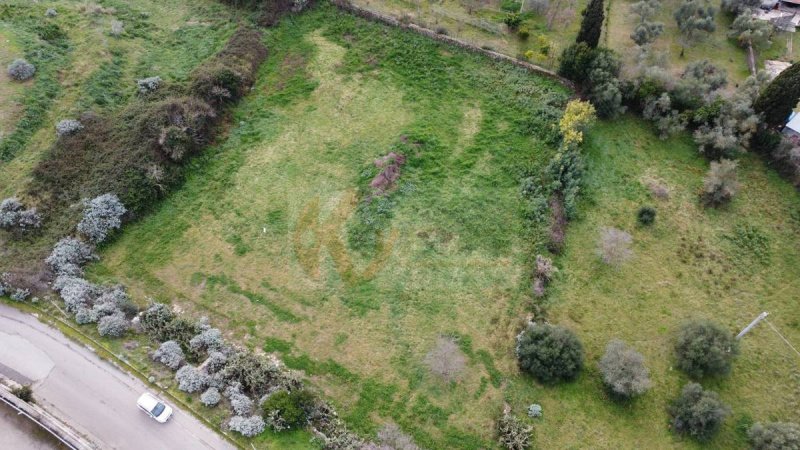 Terreno para construção em Ploaghe