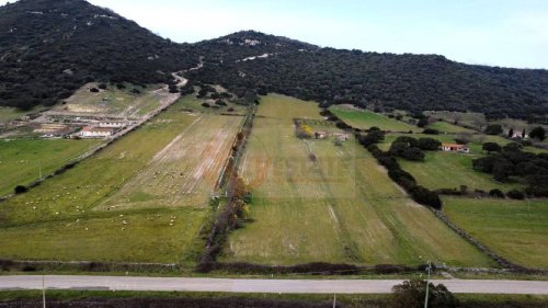 Landwirtschaftliche Fläche in Siligo