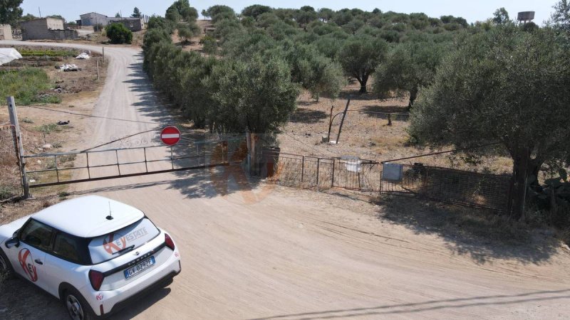 Landbouwgrond in Monastir