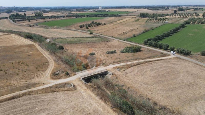 Landbouwgrond in Monastir