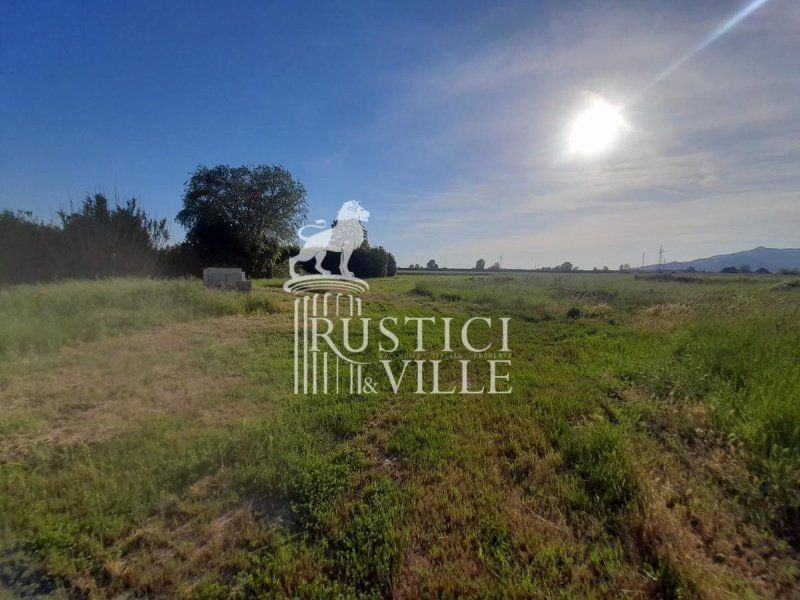 蓬泰代拉休闲农业