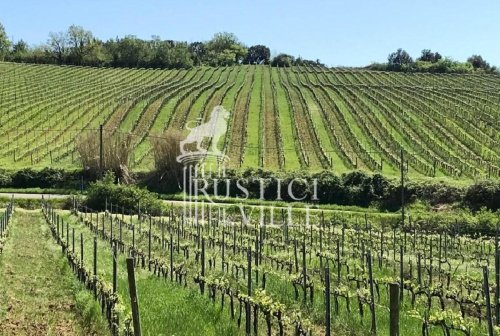 Villa in Casciana Terme Lari