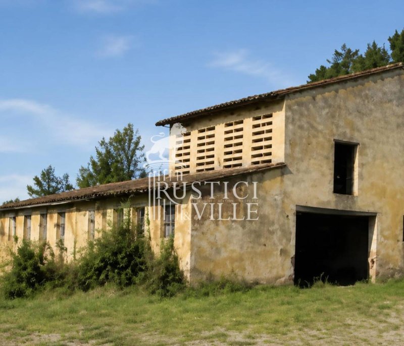 Explotación agrícola en Montopoli in Val d'Arno