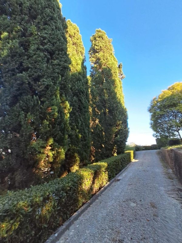 Villa in Santa Maria a Monte