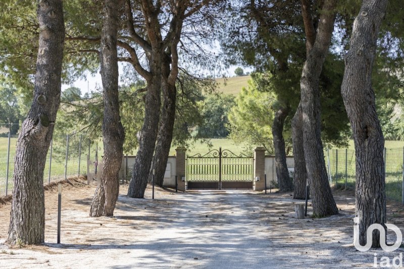 Hus på landet i Ancona