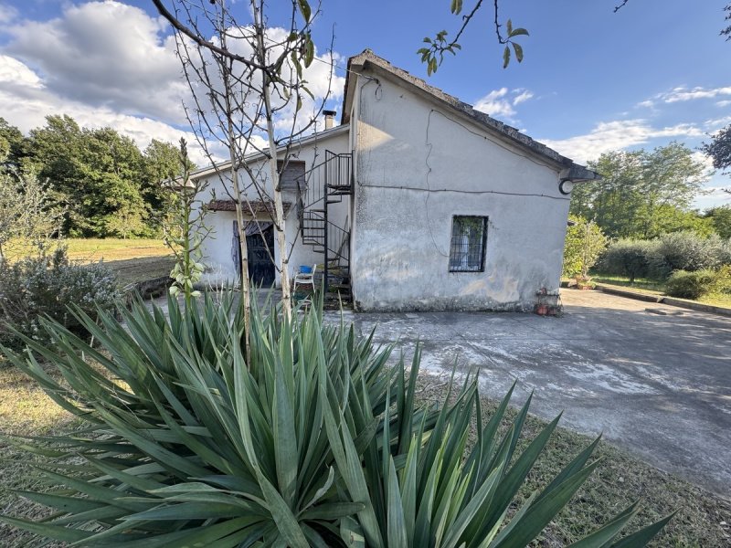 Особняк в Кольфеличе