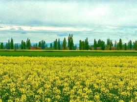 Agrotourisme à Ferrare