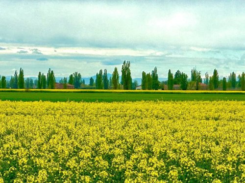 费拉拉休闲农业