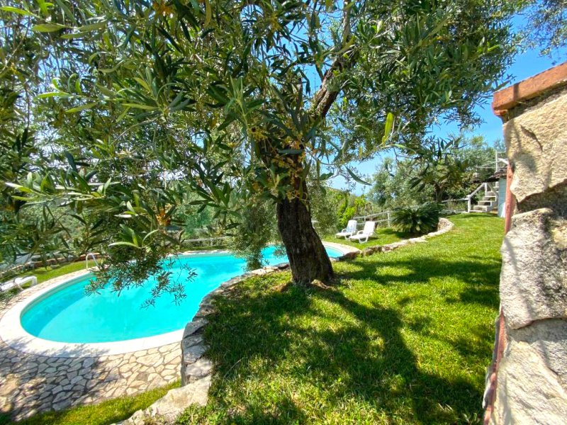 伊特里休闲农业