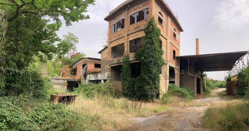 Коммерческая недвижимость в Фара-ин-Сабина