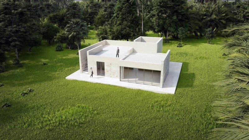 雷阿尔蒙特房屋