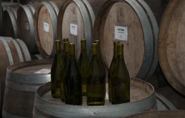 拉努维奥农业公司