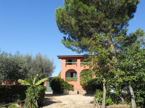 拉努维奥农业公司