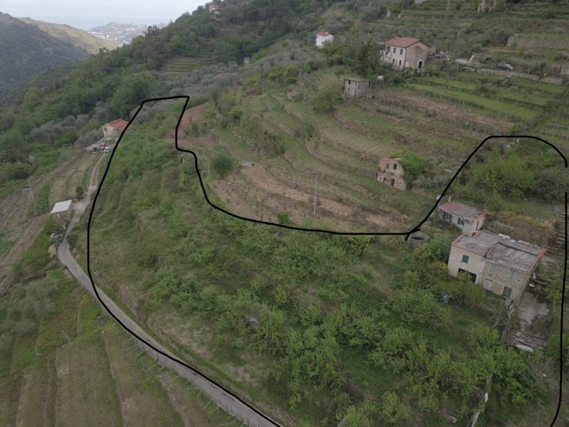 Сельский дом в Чериана