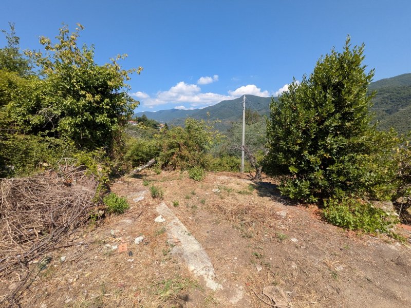 Country house in Ceriana