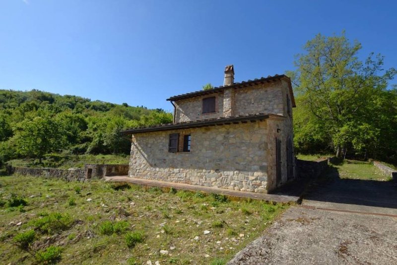 Casa di campagna a Castellina in Chianti