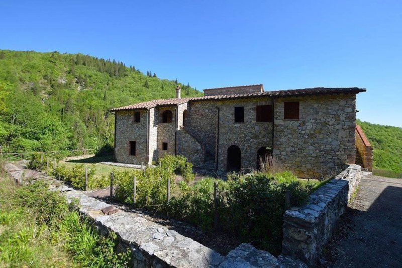 Doppelhaushälfte in Castellina in Chianti