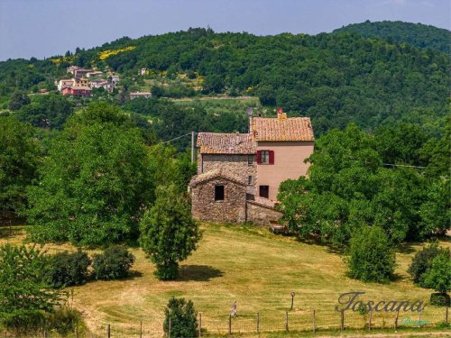 Terraced house in Montieri