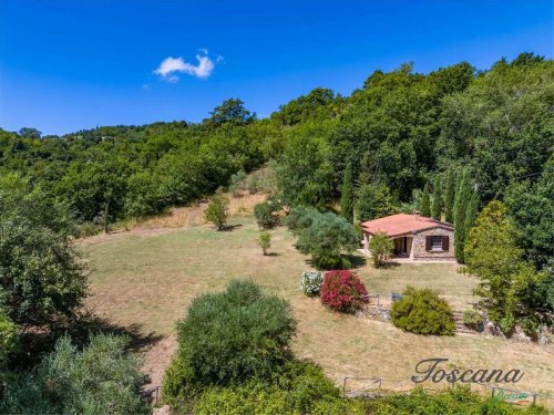 Villa in Montescudaio