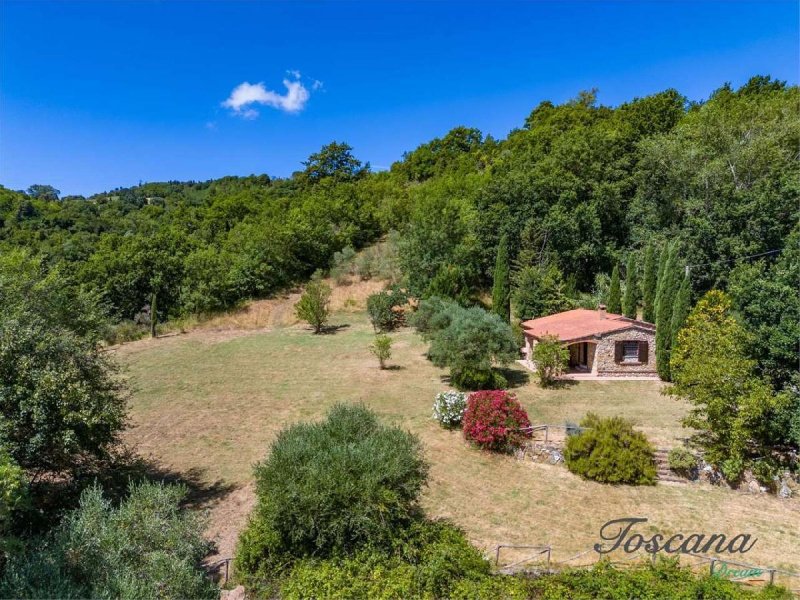 Villa in Montescudaio
