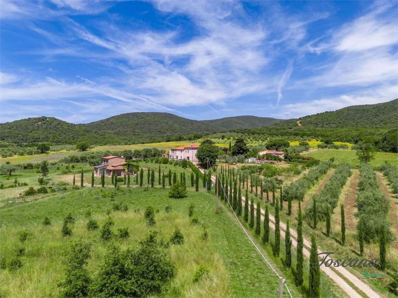 Apartment in Scarlino